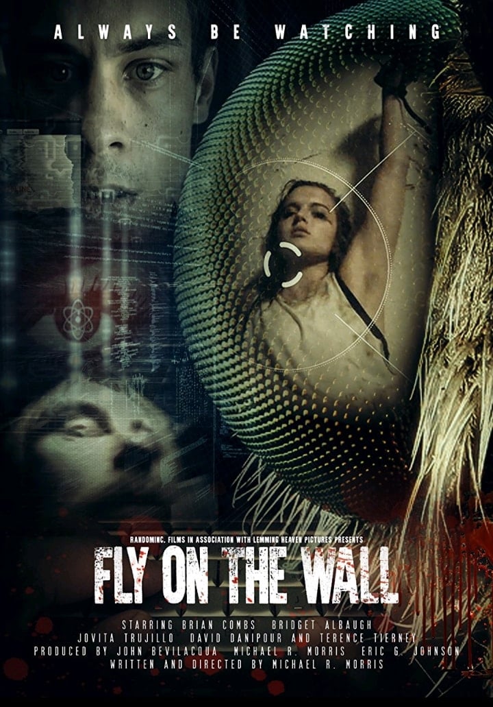 The Wall Movie Free Download Torrent